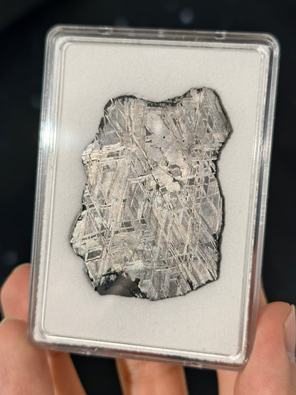 Muonionalusta Meteorit Scheibe 19,7g mit Zertifikat