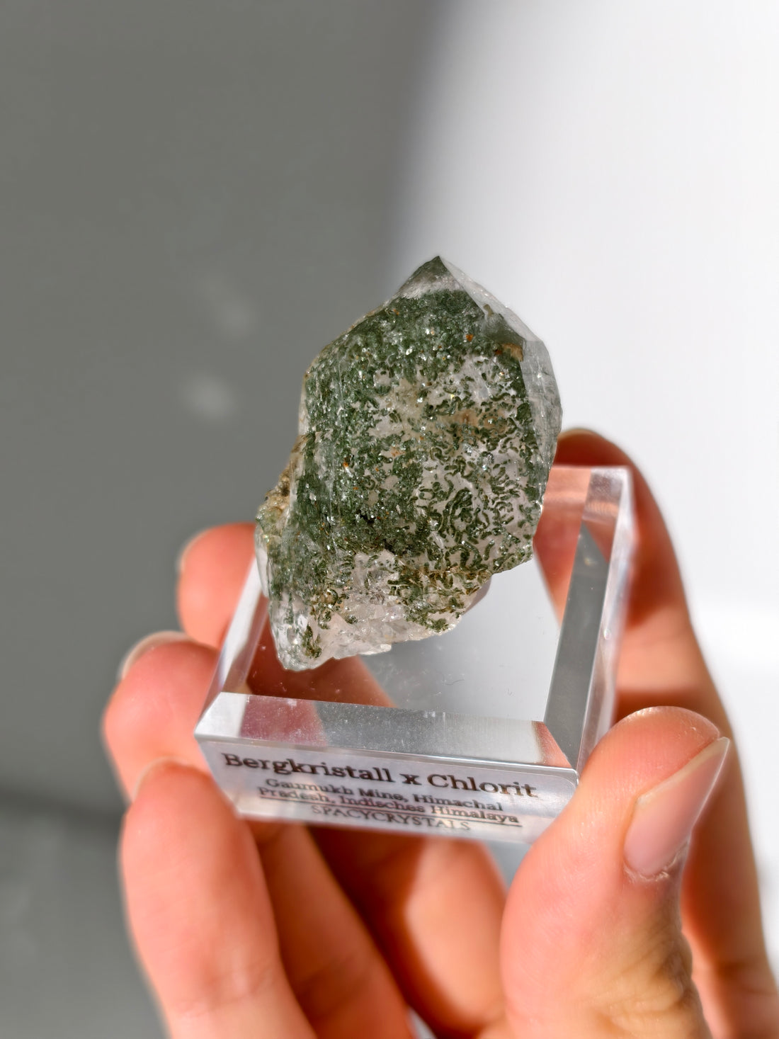 Himalaya Bergkristall mit Chlorit Einschlüssen