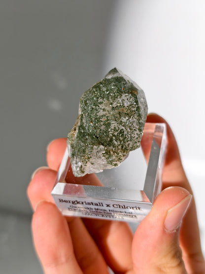 Himalaya Bergkristall mit Chlorit Einschlüssen
