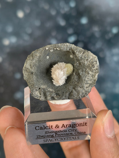 Botryoidaler Calcit mit Aragonit Nadeln auf Basalt - Neuer Fund