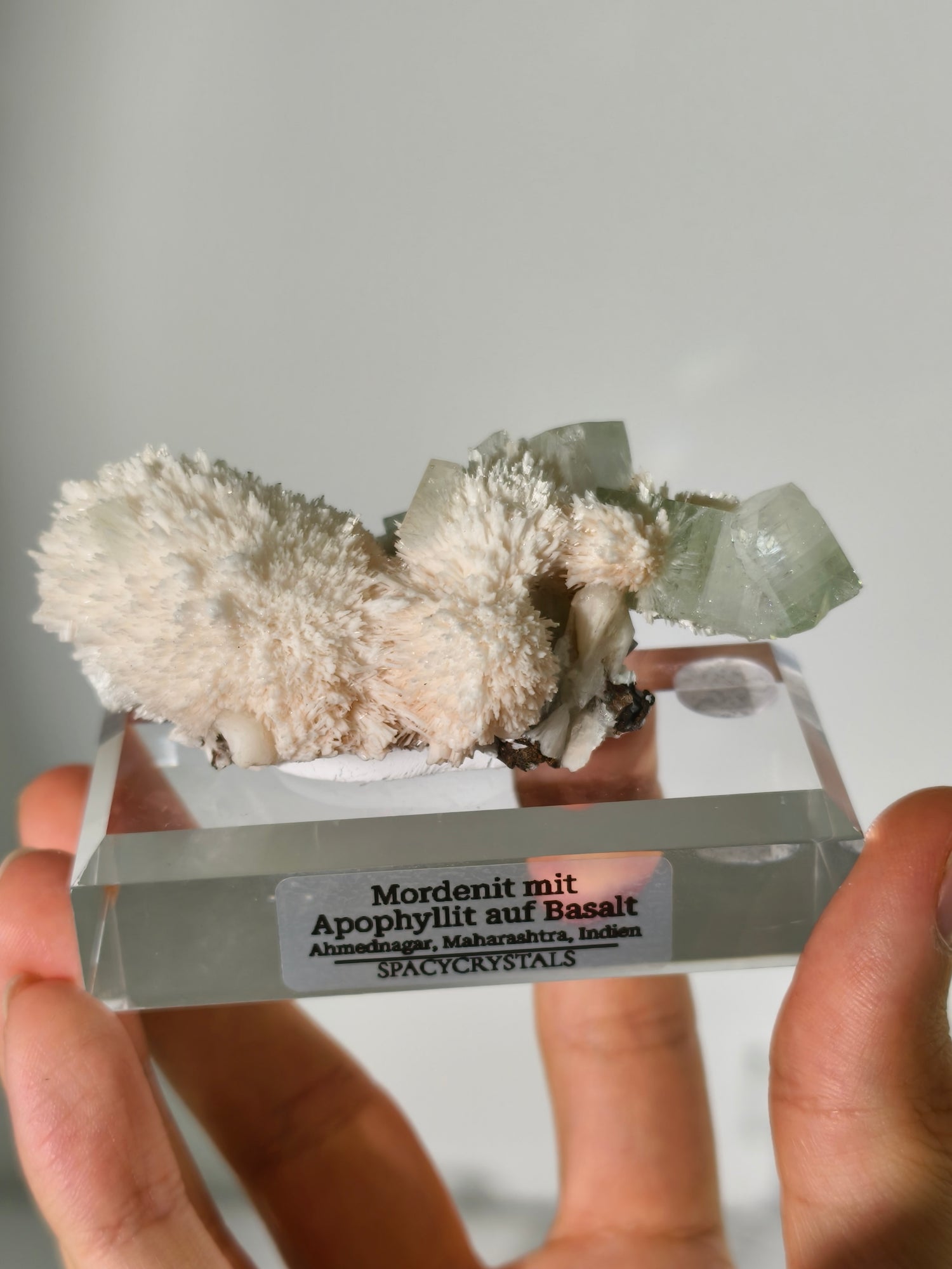 Mordenit mit Apophyllit auf Basalt aus Indien