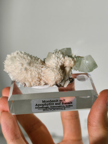 Mordenit mit Apophyllit auf Basalt aus Indien