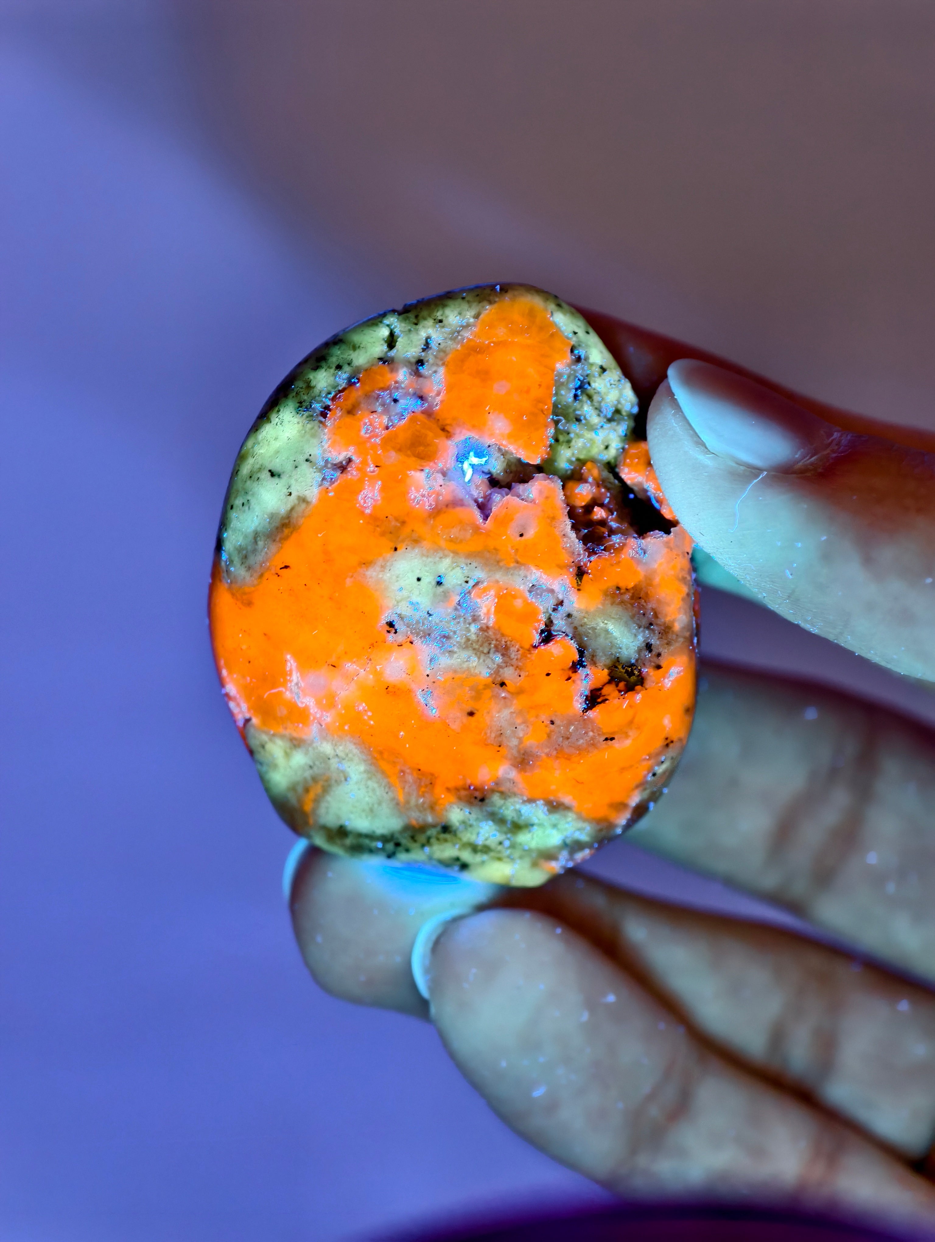 Seltene Haüyn Sodalith Mix Freiform (UV Aktiv!)