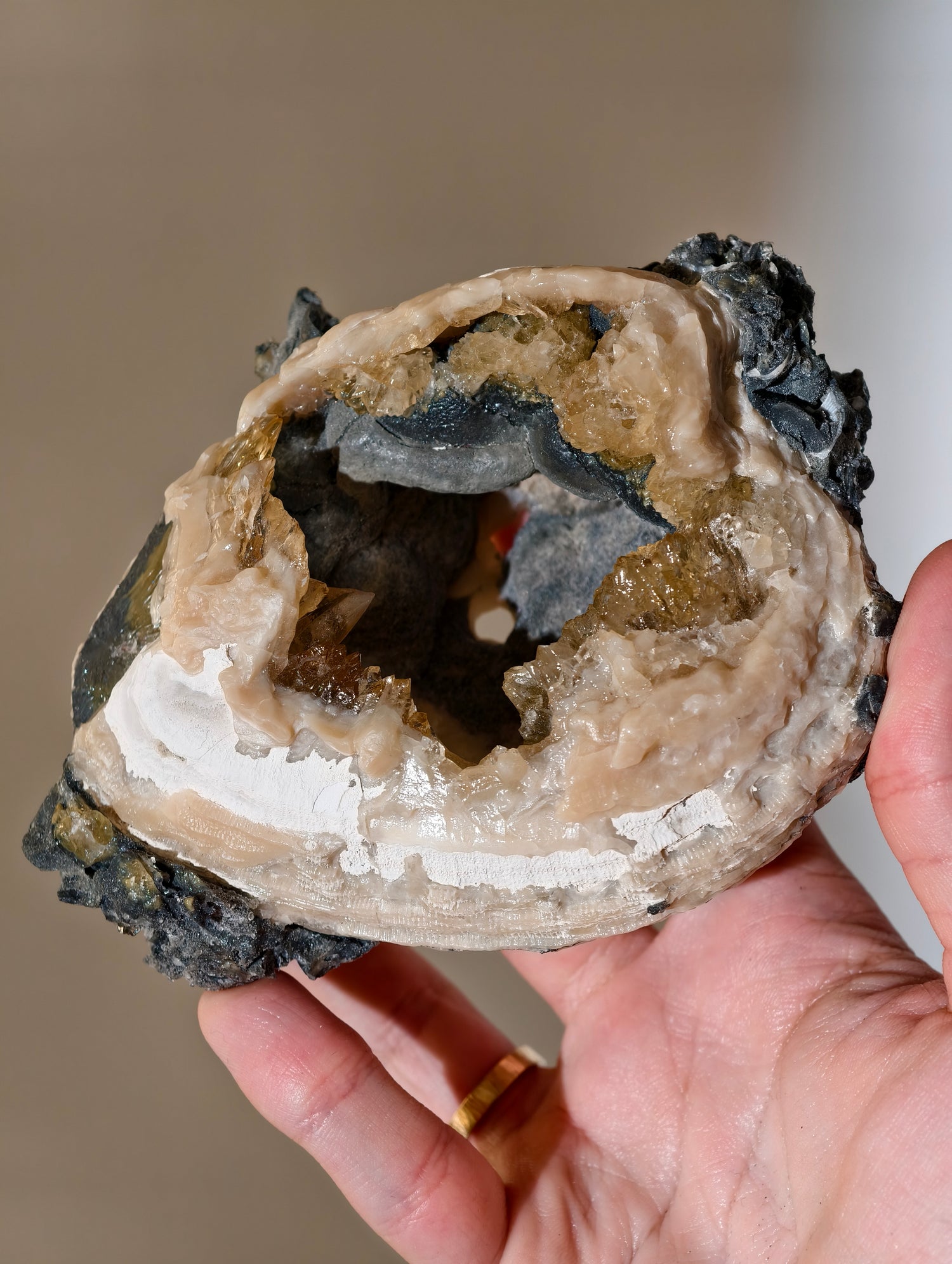XL Kristallisierte Fossile Muschel mit Calcit aus Fort Drum, USA (UV Aktiv)