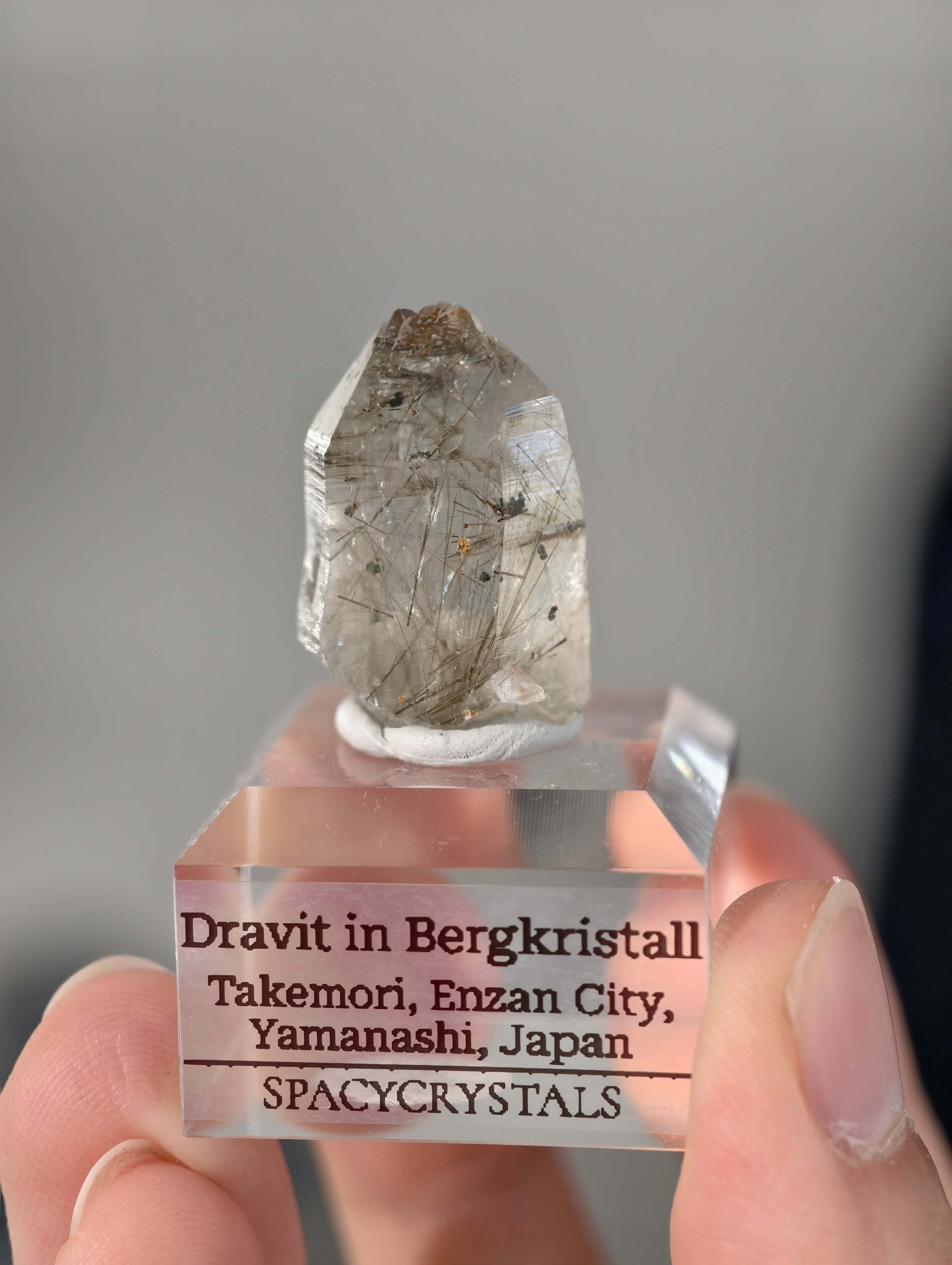 Dravit in Bergkristall aus Takemori, Japan (selten)