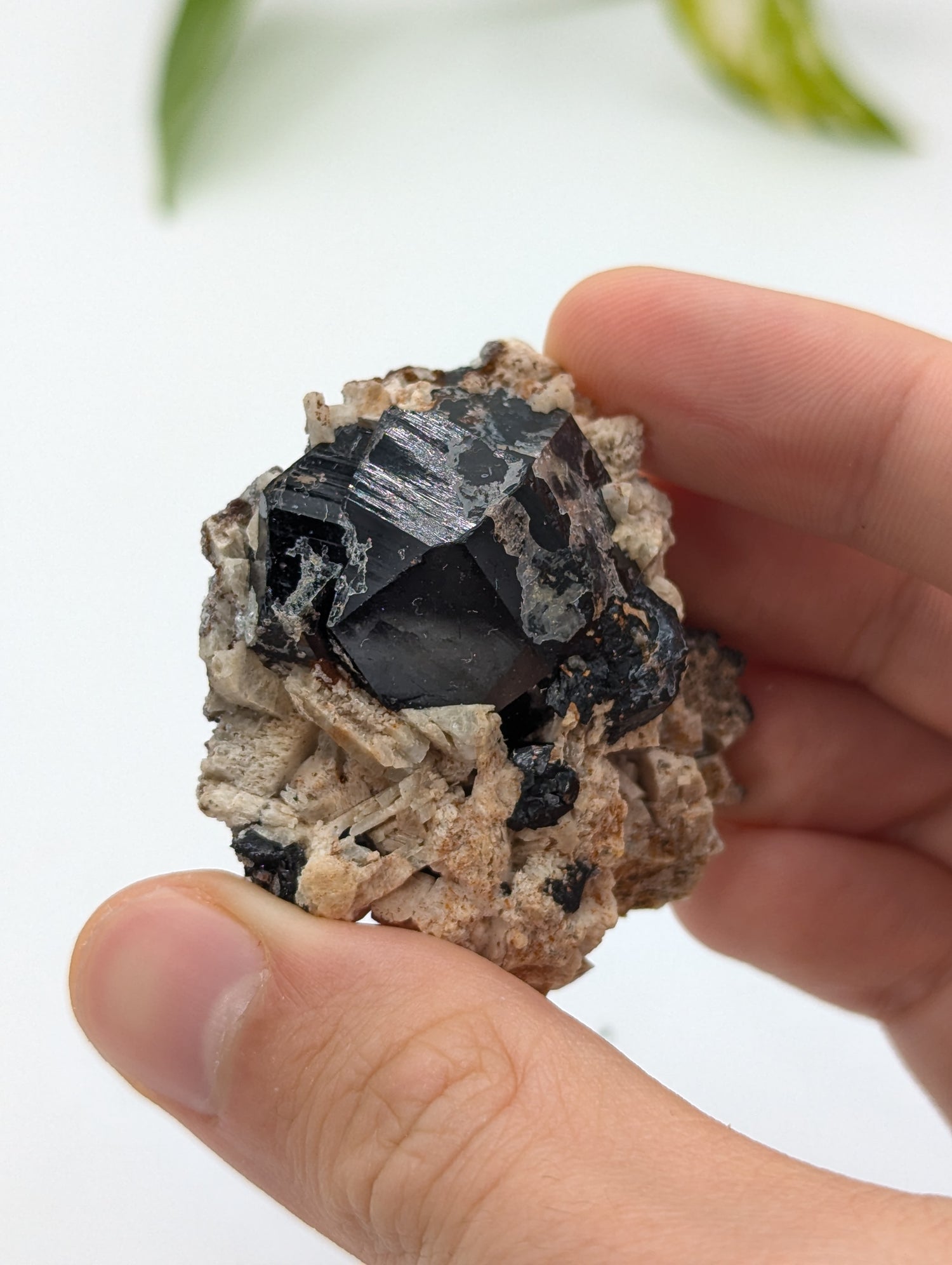 Schwarzer Turmalin (Schörl) aus Erongo V