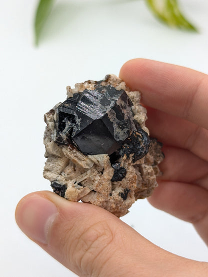 Schwarzer Turmalin (Schörl) aus Erongo V