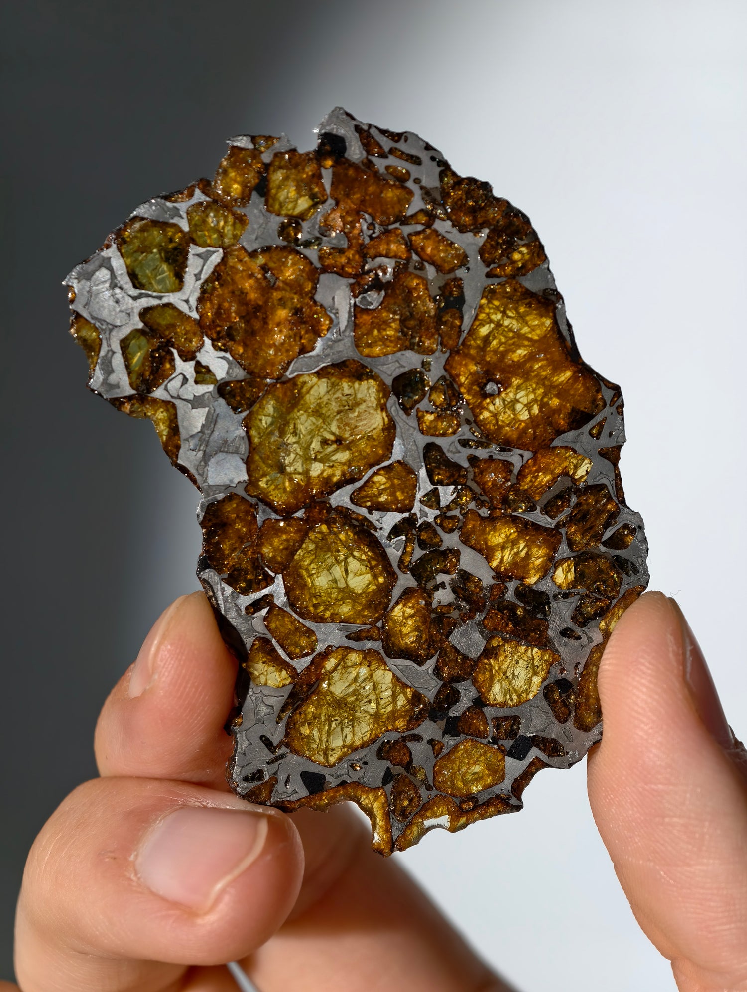 Imilac Pallasit Meteorit Scheibe 20.04g mit Zertifikat