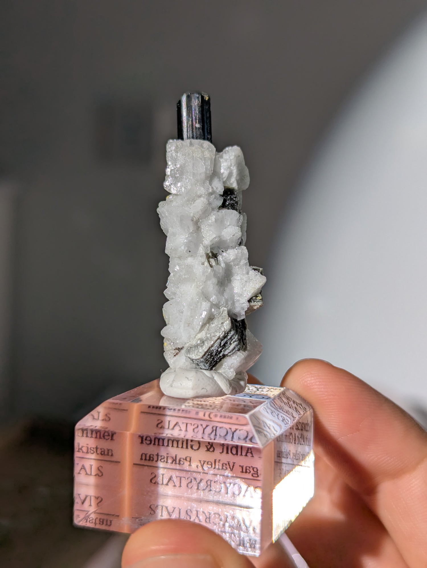 Schwarzer Turmalin (Schörl) mit Albit &amp; Glimmer auf Podest