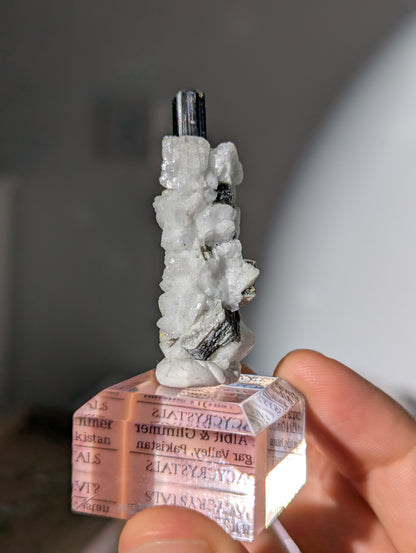 Schwarzer Turmalin (Schörl) mit Albit &amp; Glimmer auf Podest