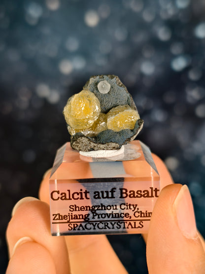 Botryoidaler Calcit auf Basalt - Neuer Fund (klein)