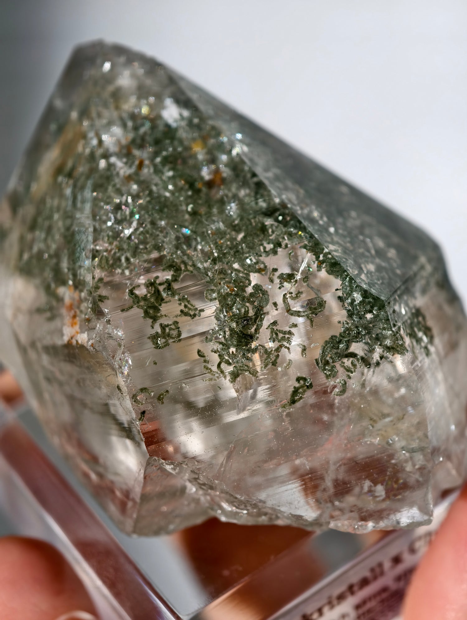 Himalaya Bergkristall Spitze mit Chlorit Einschlüssen