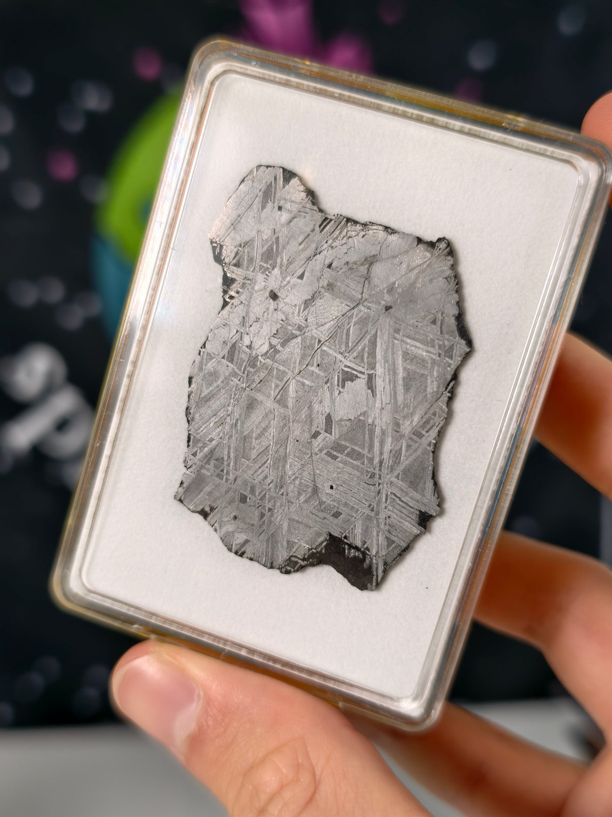 Muonionalusta Meteorit Scheibe 19,25g mit Zertifikat