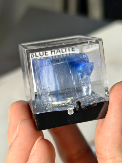 Blauer Halit aus Türkei in Box