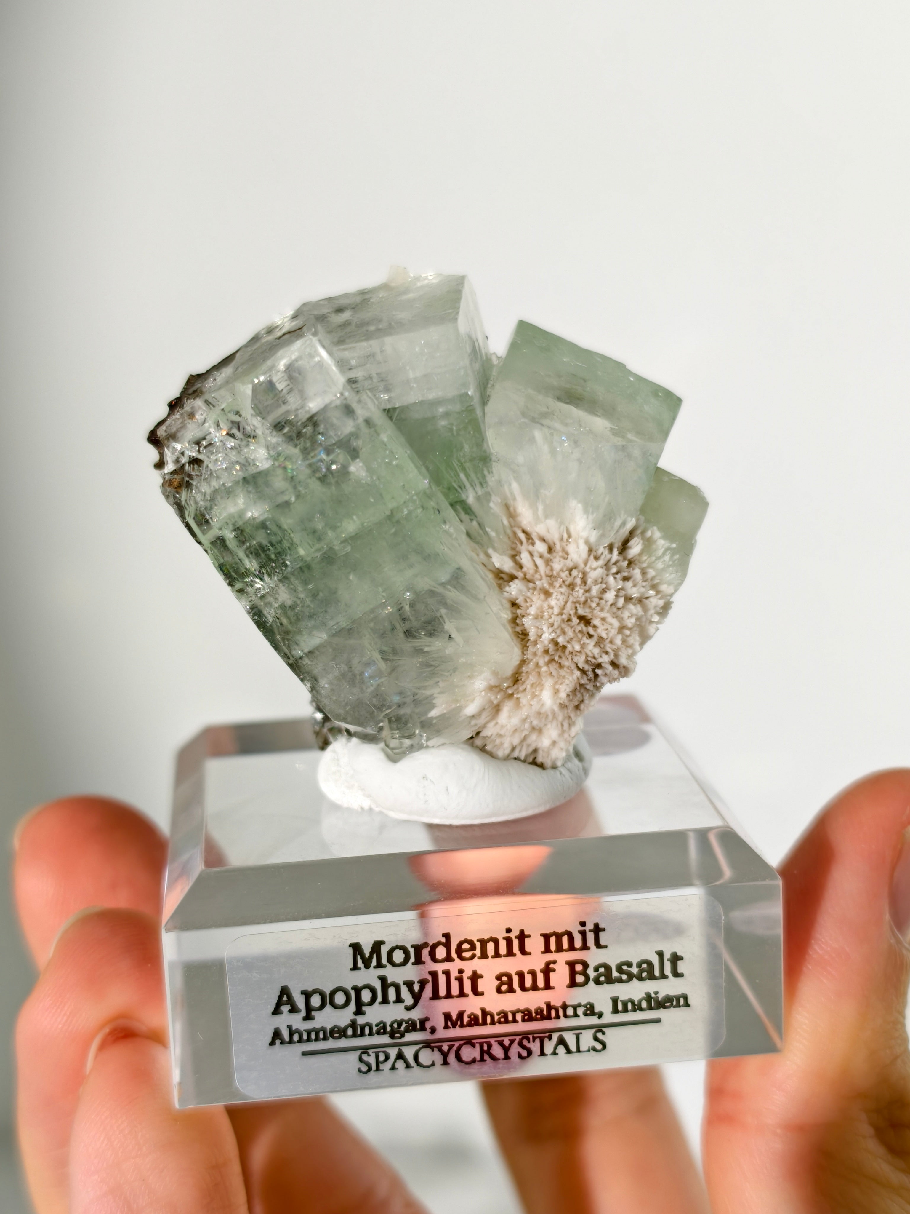 Mordenit mit Apophyllit auf Basalt aus Indien