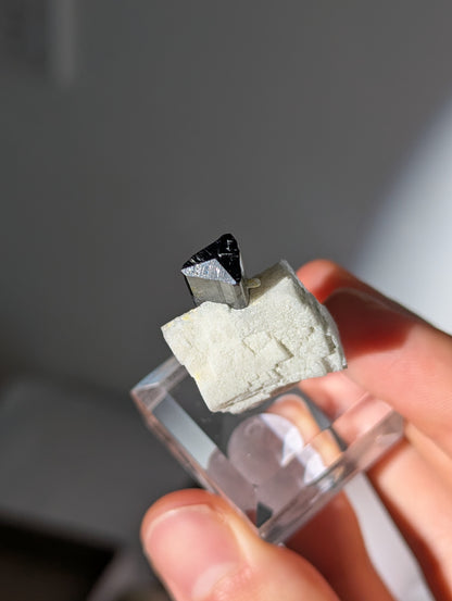 Schwarzer Turmalin (Schörl) mit Albit &amp; Glimmer auf Podest