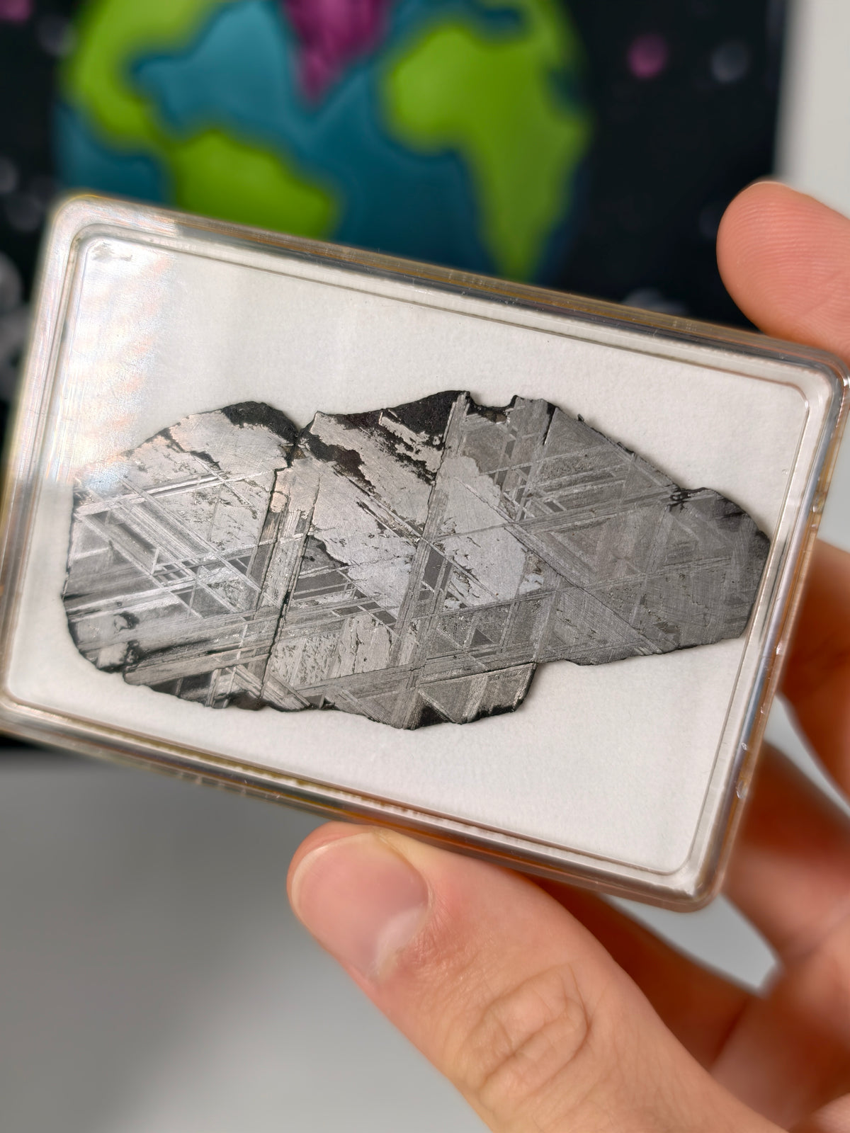 Muonionalusta Meteorit Scheibe 23,27g mit Zertifikat