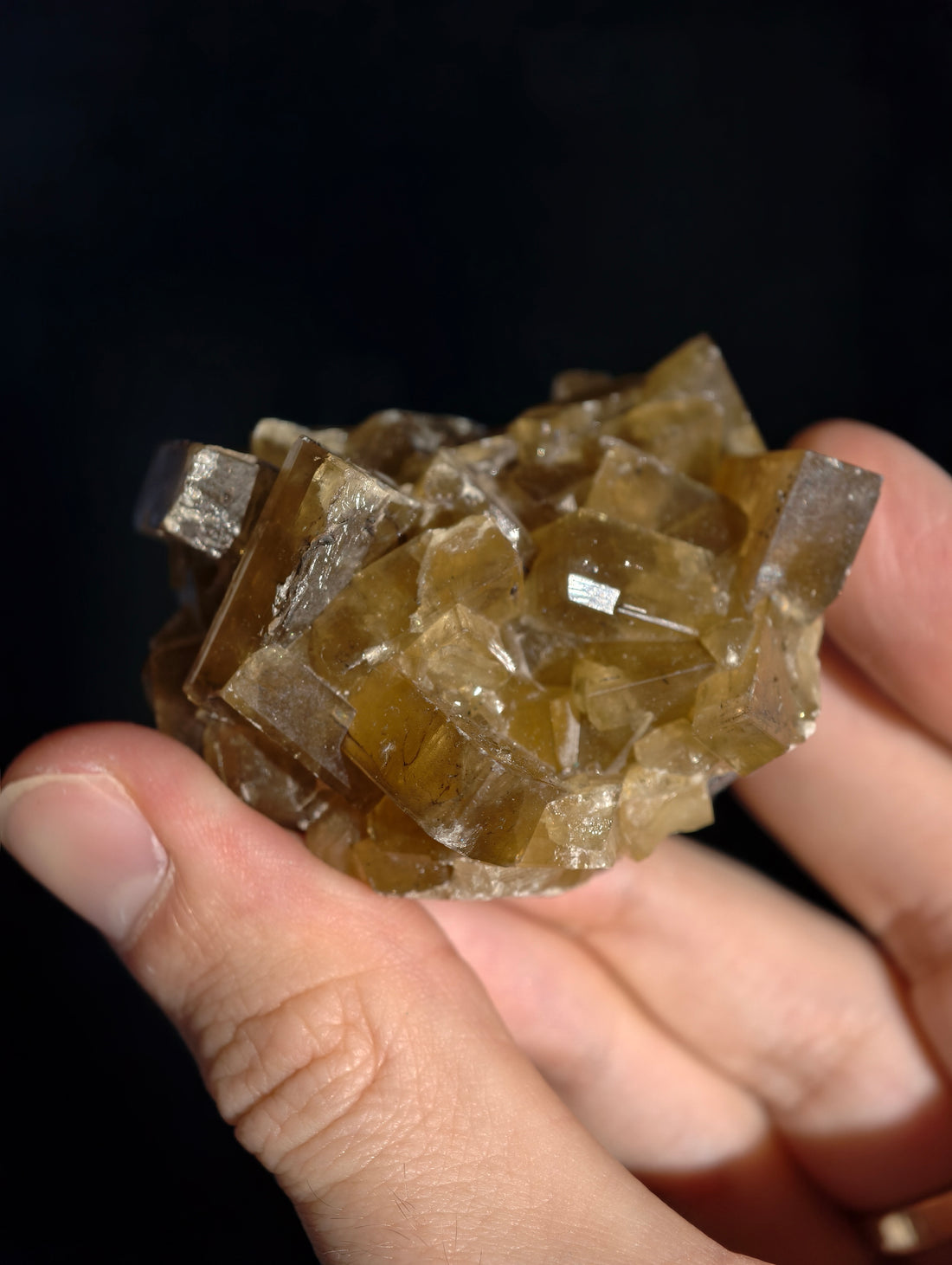 Goldgelber Barit 🍯 aus Jiangxi