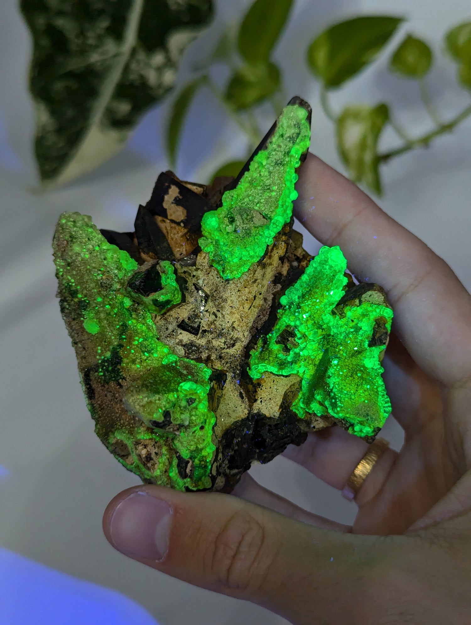 Rauchquarz Cluster mit UV-Aktivem Hyalit Opal Erongo Namibia