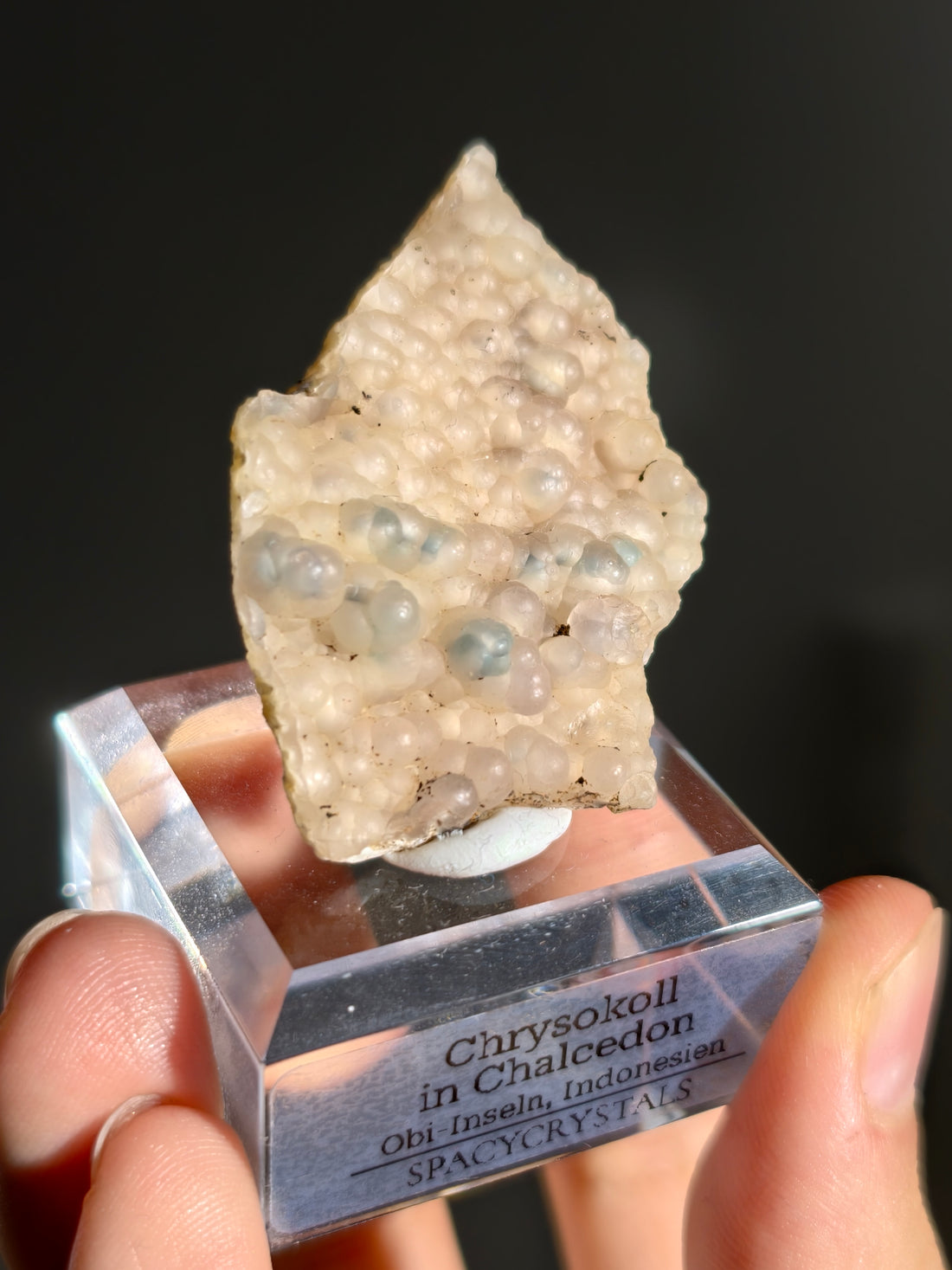 Neufund! Chrysokoll in Chalcedon aus Indonesien
