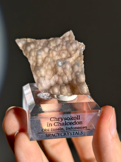Neufund! Chrysokoll in Chalcedon aus Indonesien