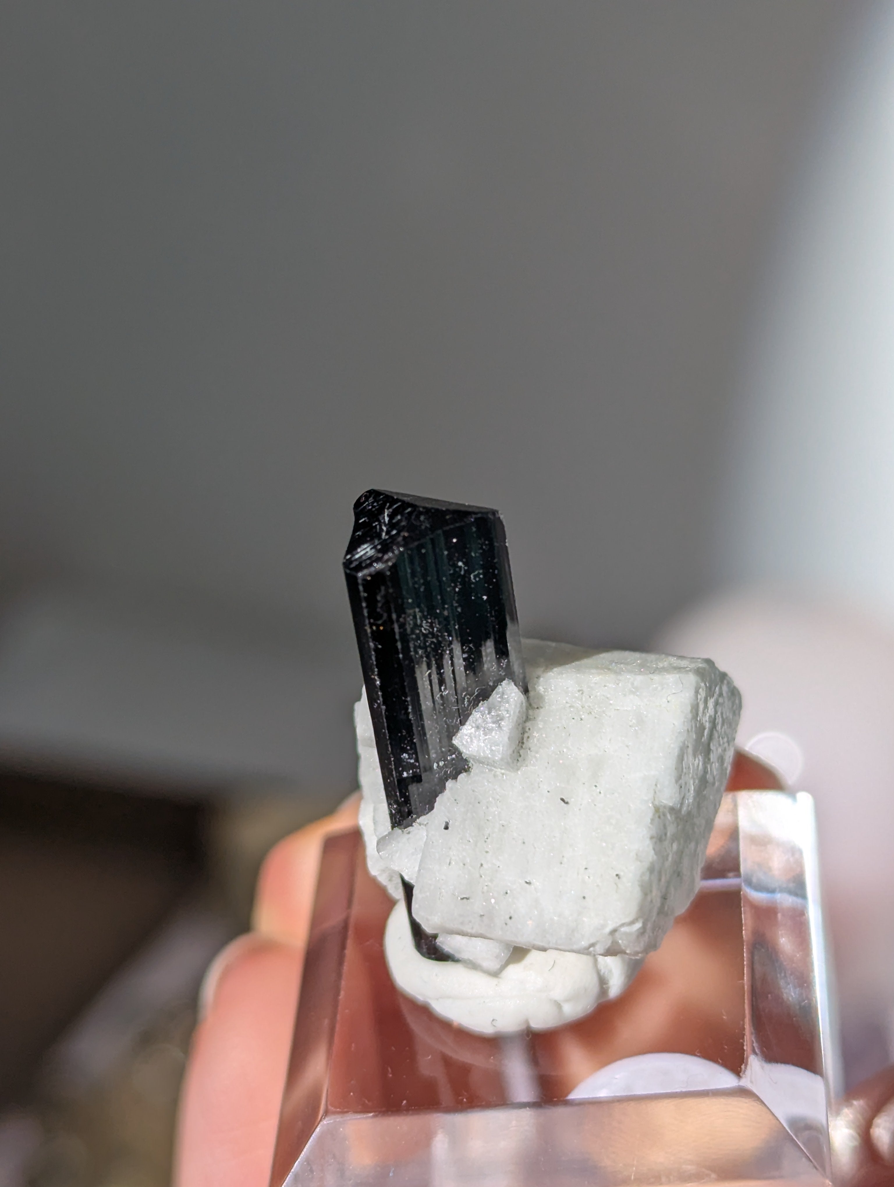 Schwarzer Turmalin (Schörl) mit Albit auf Podest