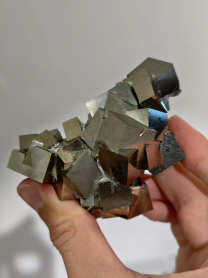 Pyrit Würfel Cluster aus Navajún, Spanien