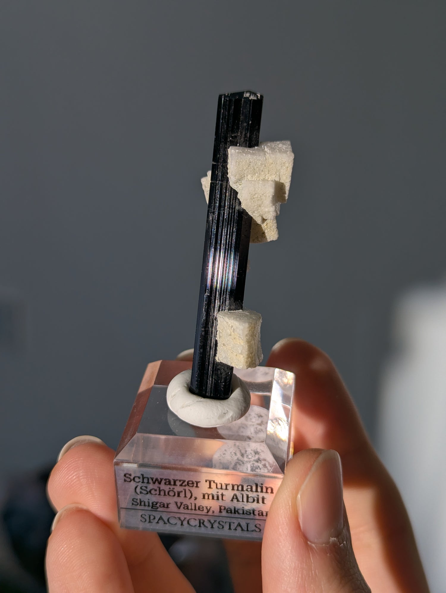 Schwarzer Turmalin (Schörl) mit Albit auf Podest