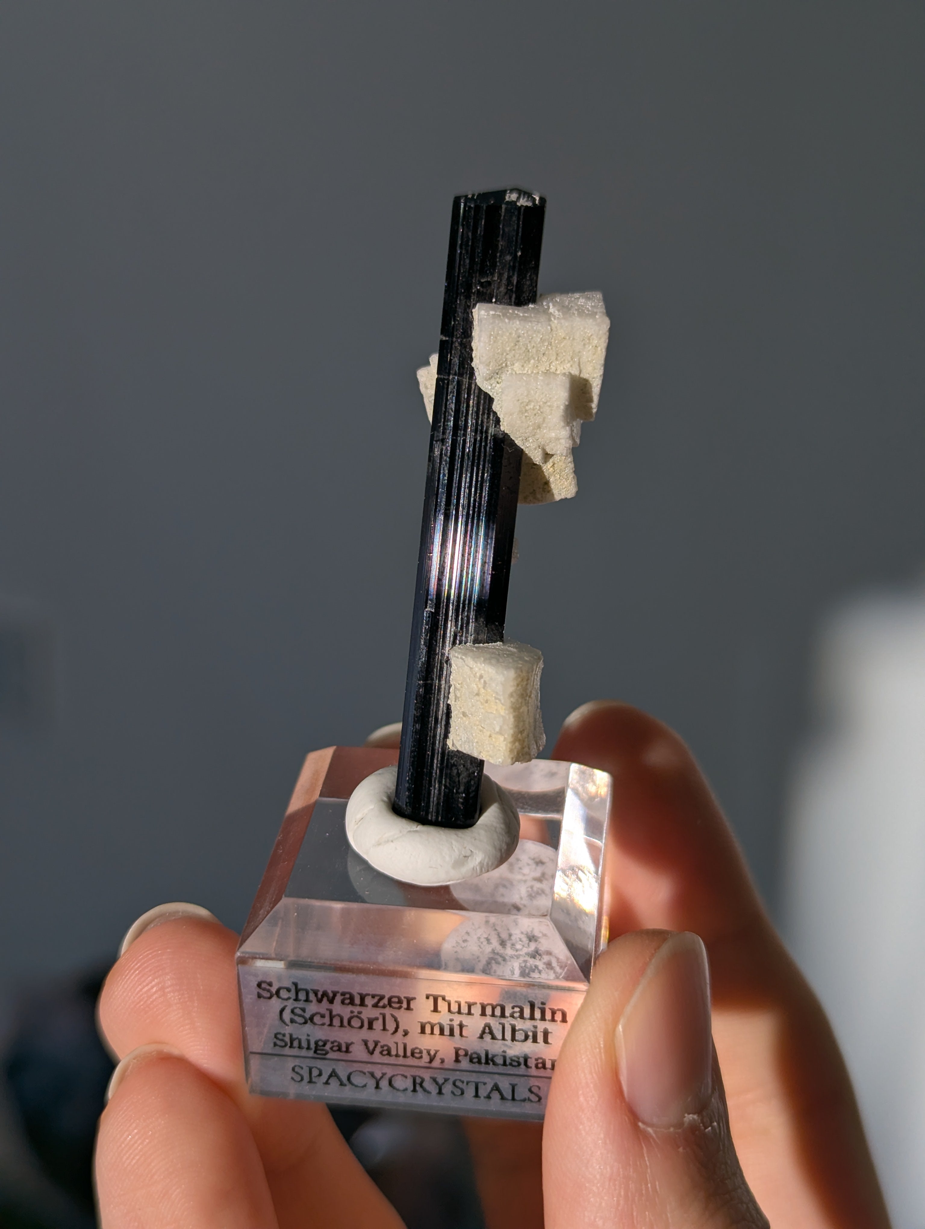 Schwarzer Turmalin (Schörl) mit Albit auf Podest