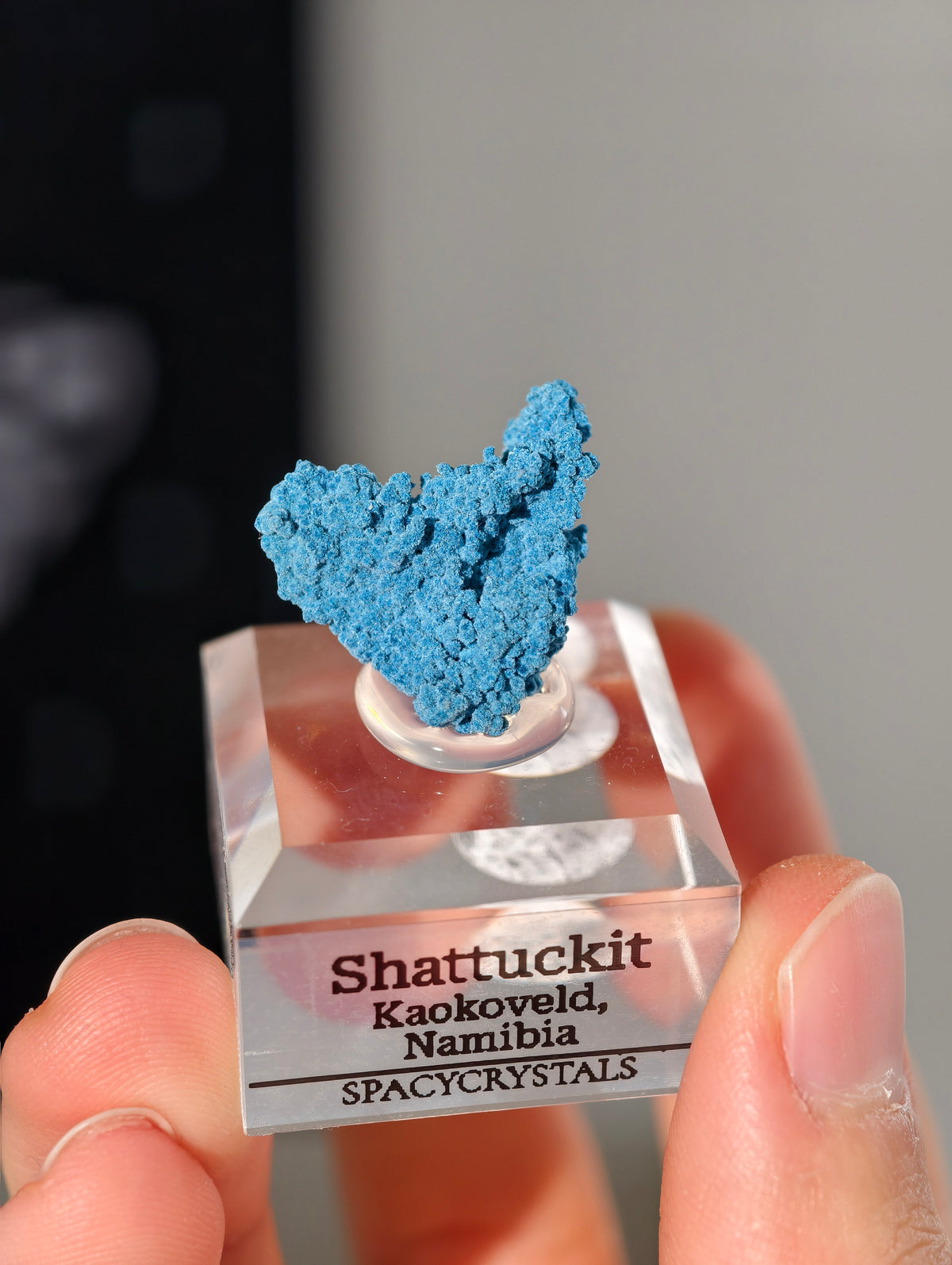 Botryoidaler blauer Samt Shattuckit auf Podest