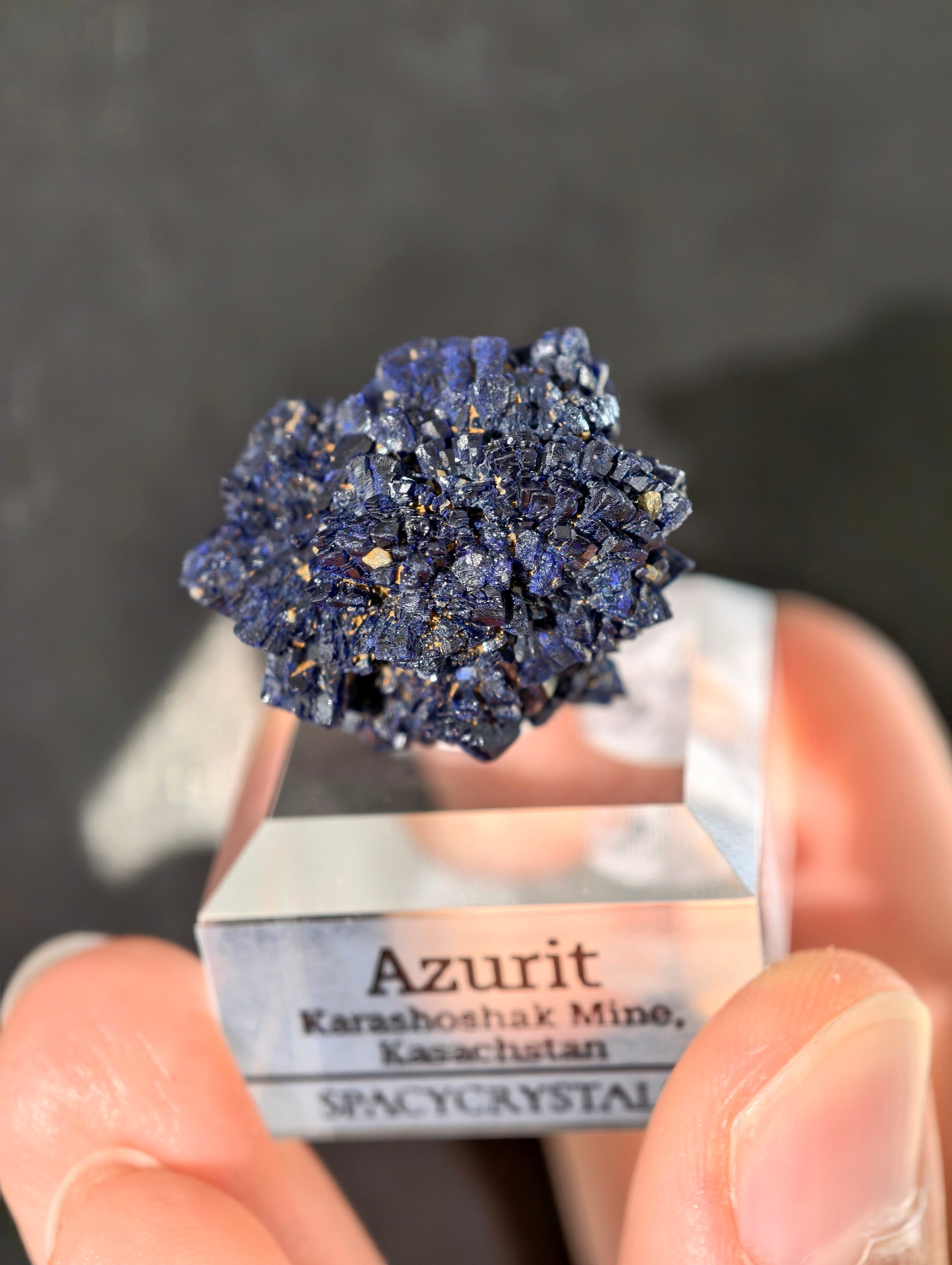 Königsblaue Azurit Kristalle aus Kasachstan
