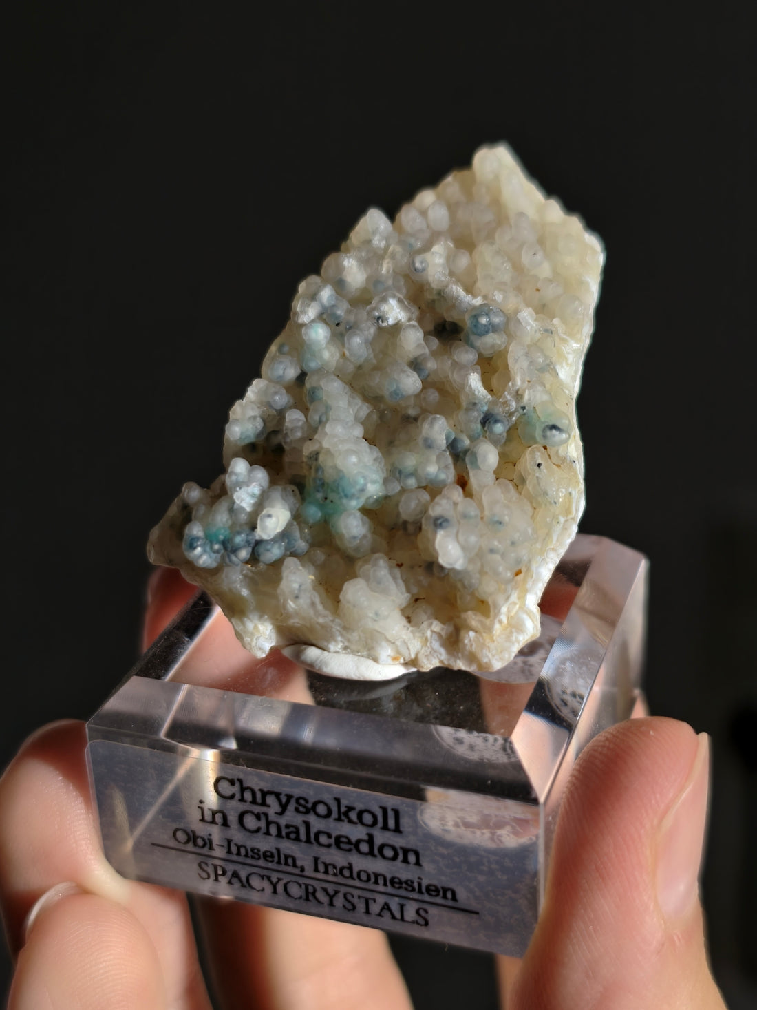Neufund! Chrysokoll in Chalcedon aus Indonesien