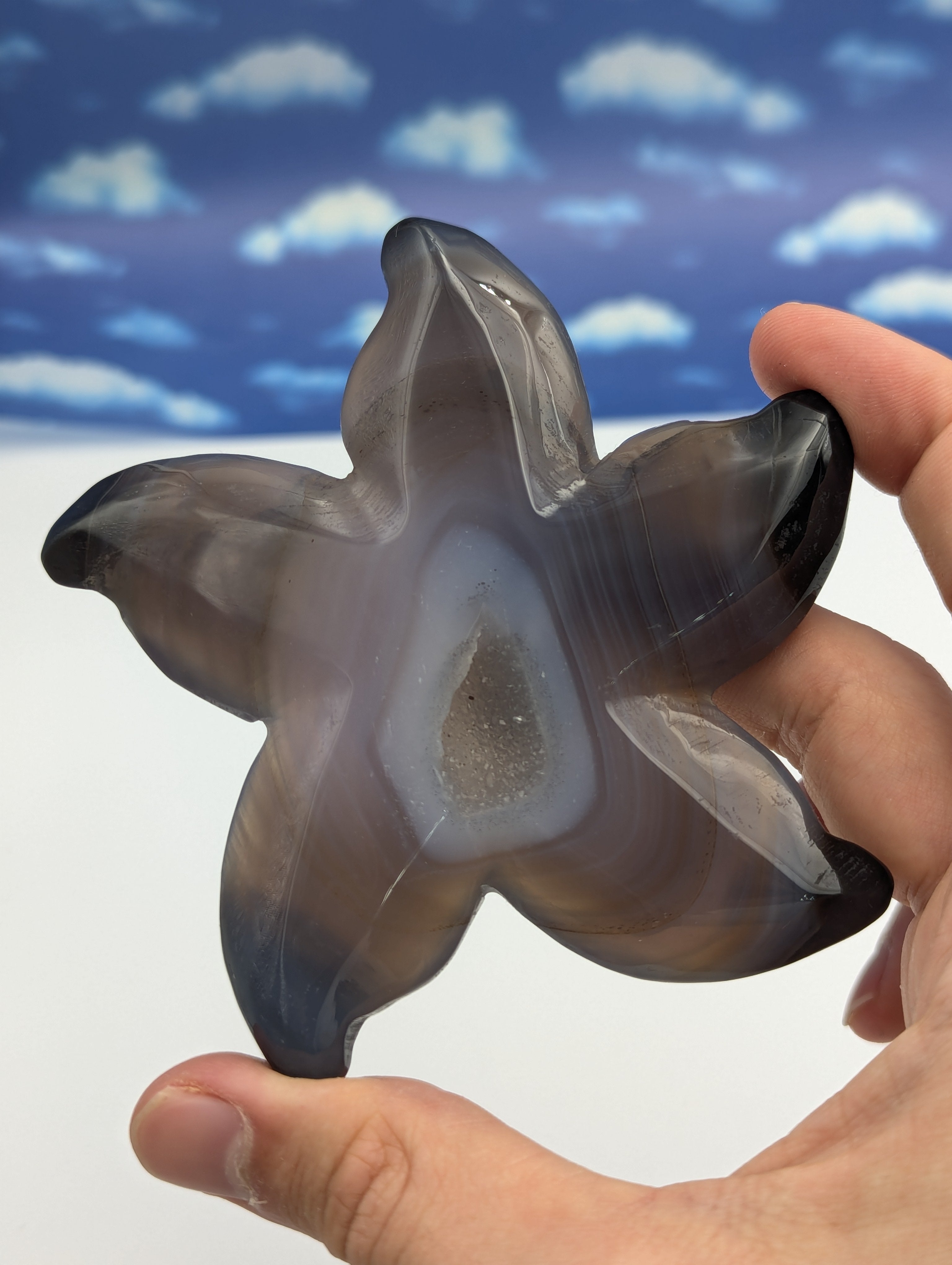 Achat Seestern mit Kristall Druse