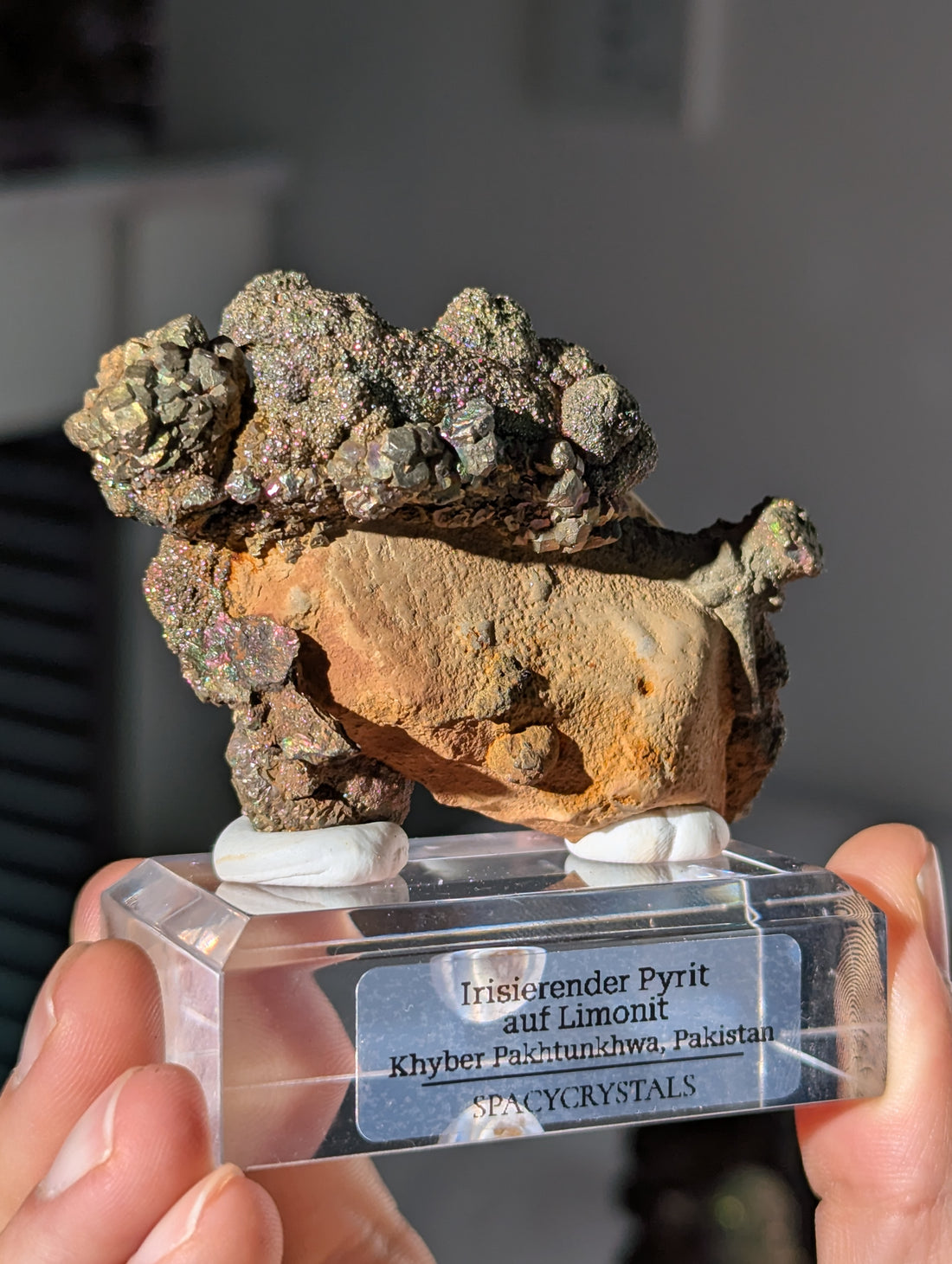 Irisierender Pyrit auf Limonit