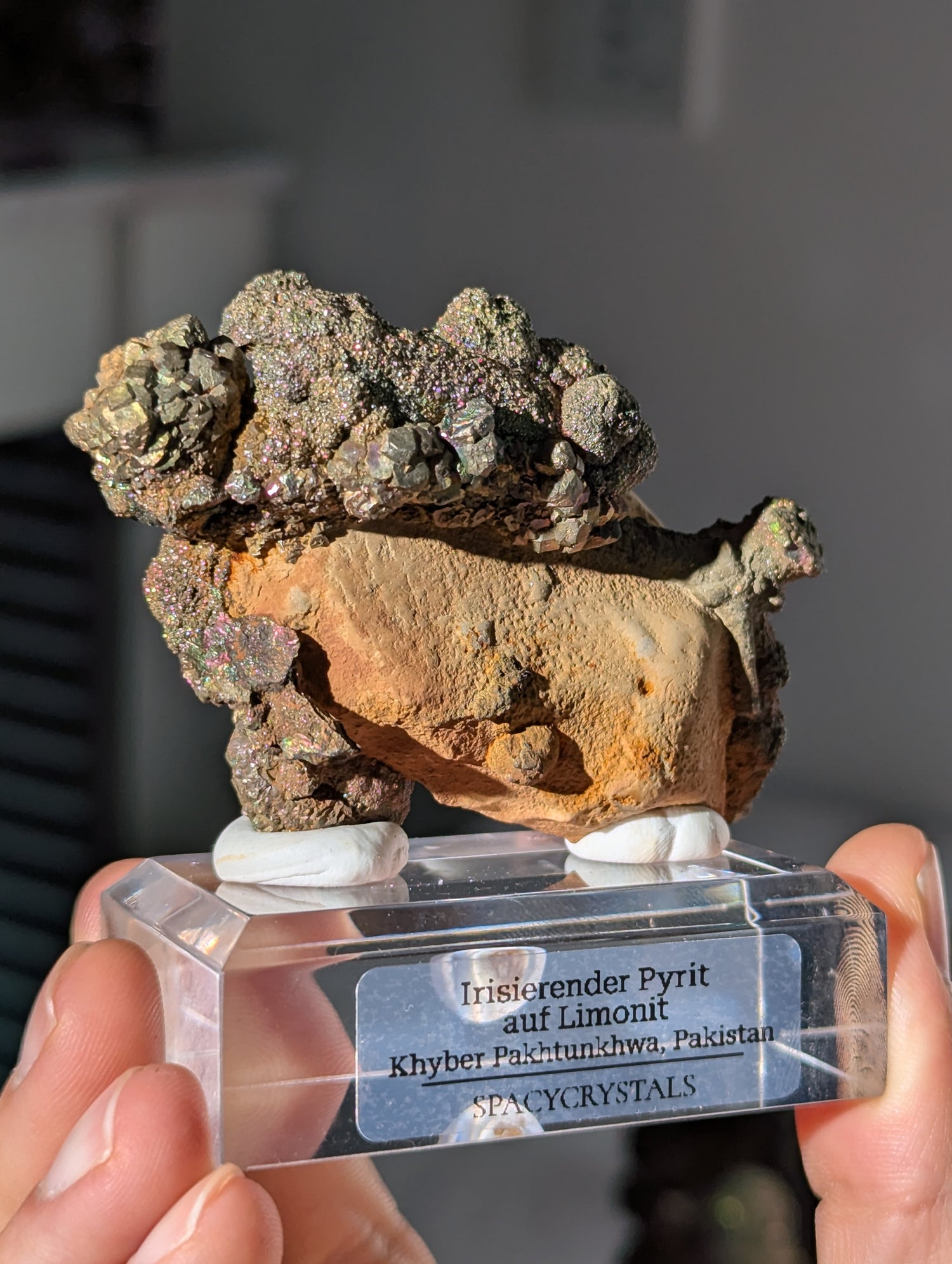 Irisierender Pyrit auf Limonit