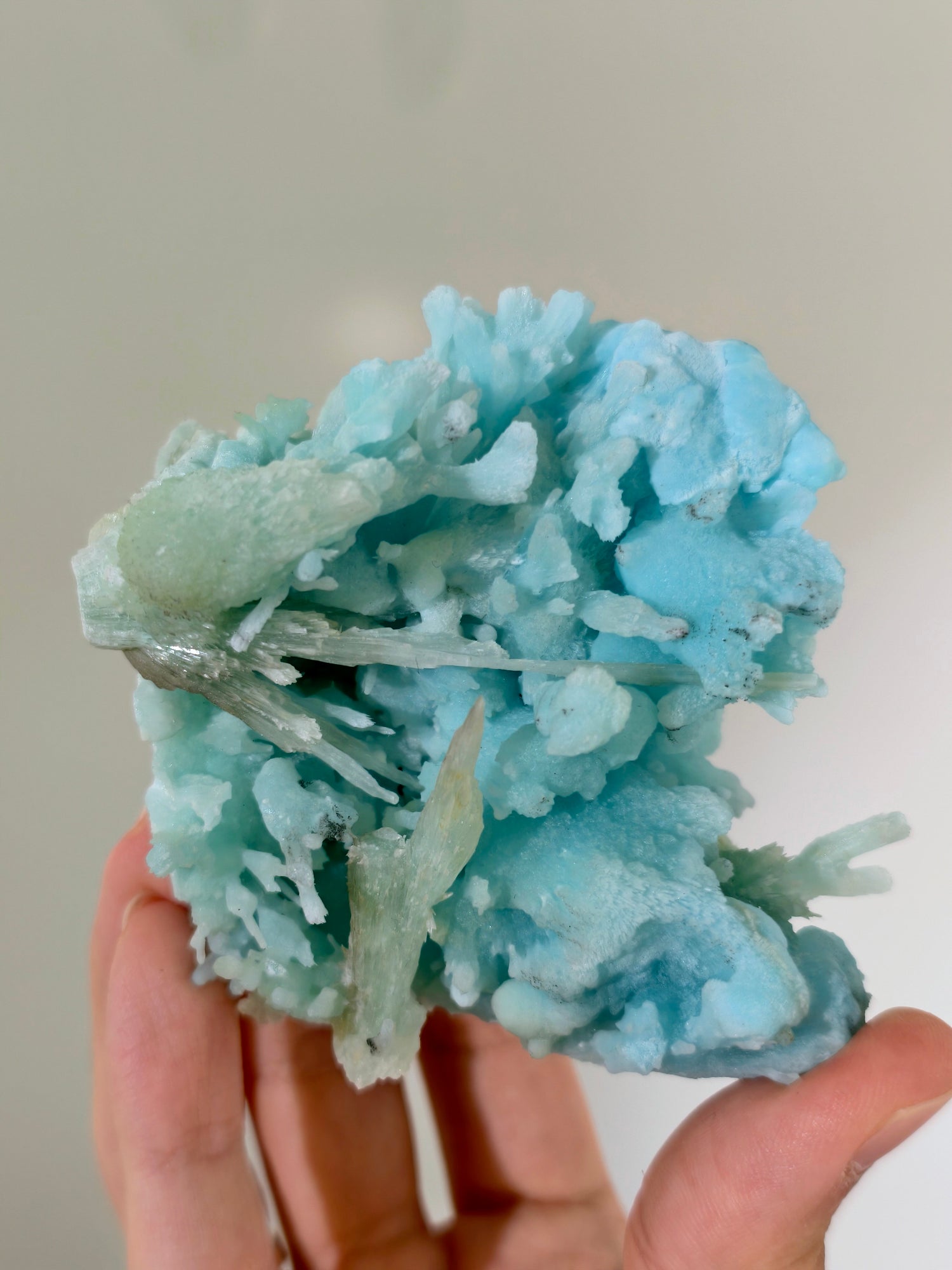 Wow! Blauer Aragonit 🪸🩵 aus der Wenshan Mine
