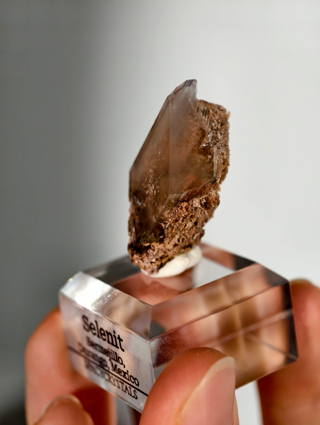 Glasklarer Durango Selenit (Gips) Kristall auf Matrix