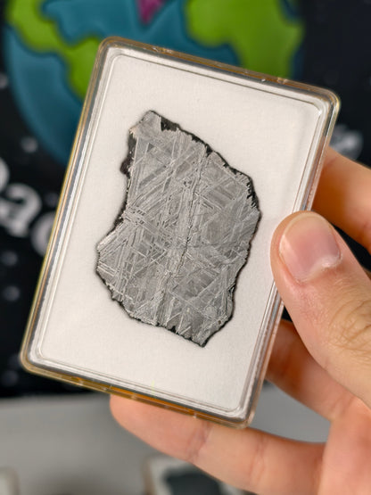 Muonionalusta Meteorit Scheibe 16,84g mit Zertifikat