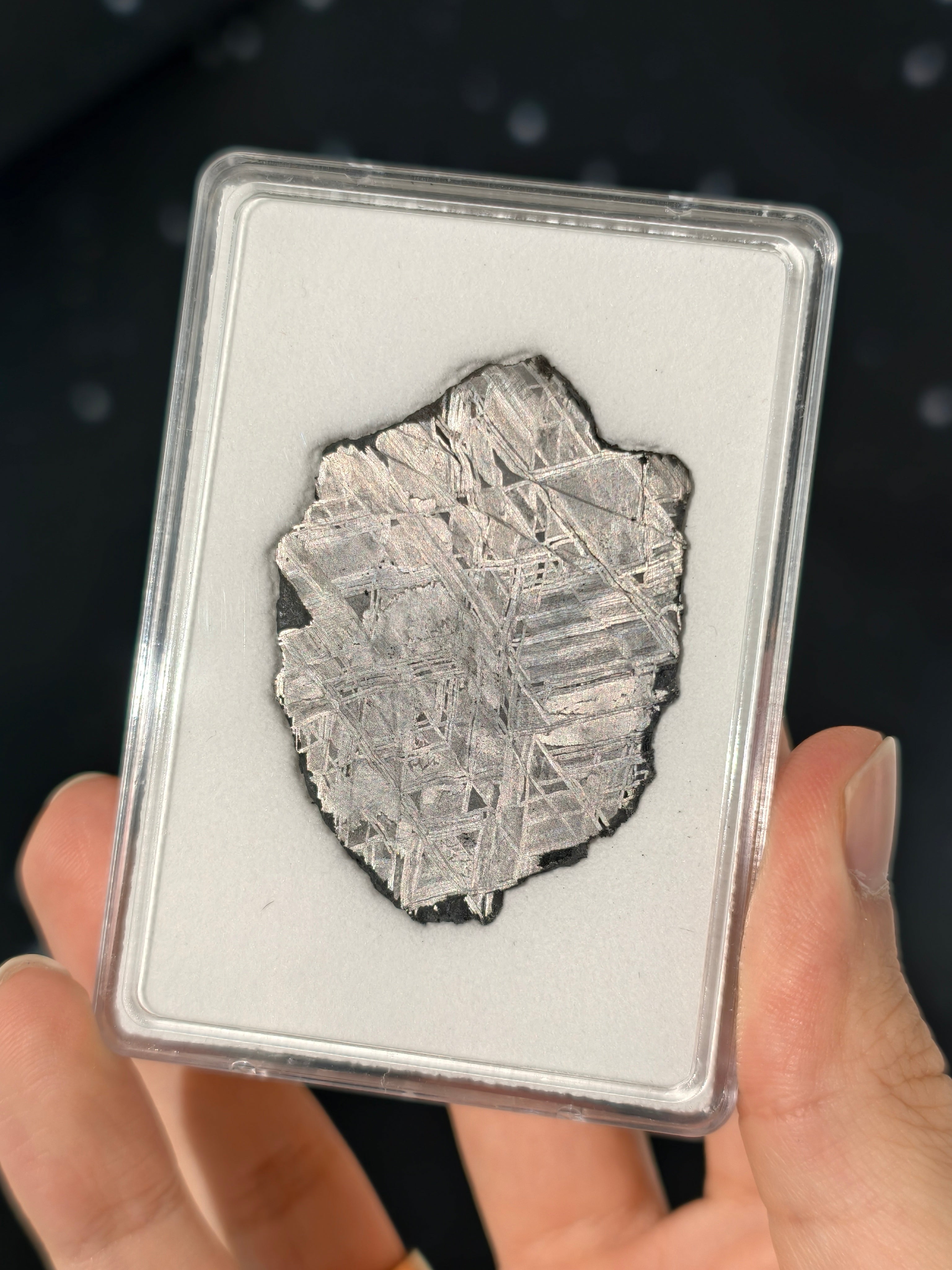 Muonionalusta Meteorit Scheibe 20,0g mit Zertifikat
