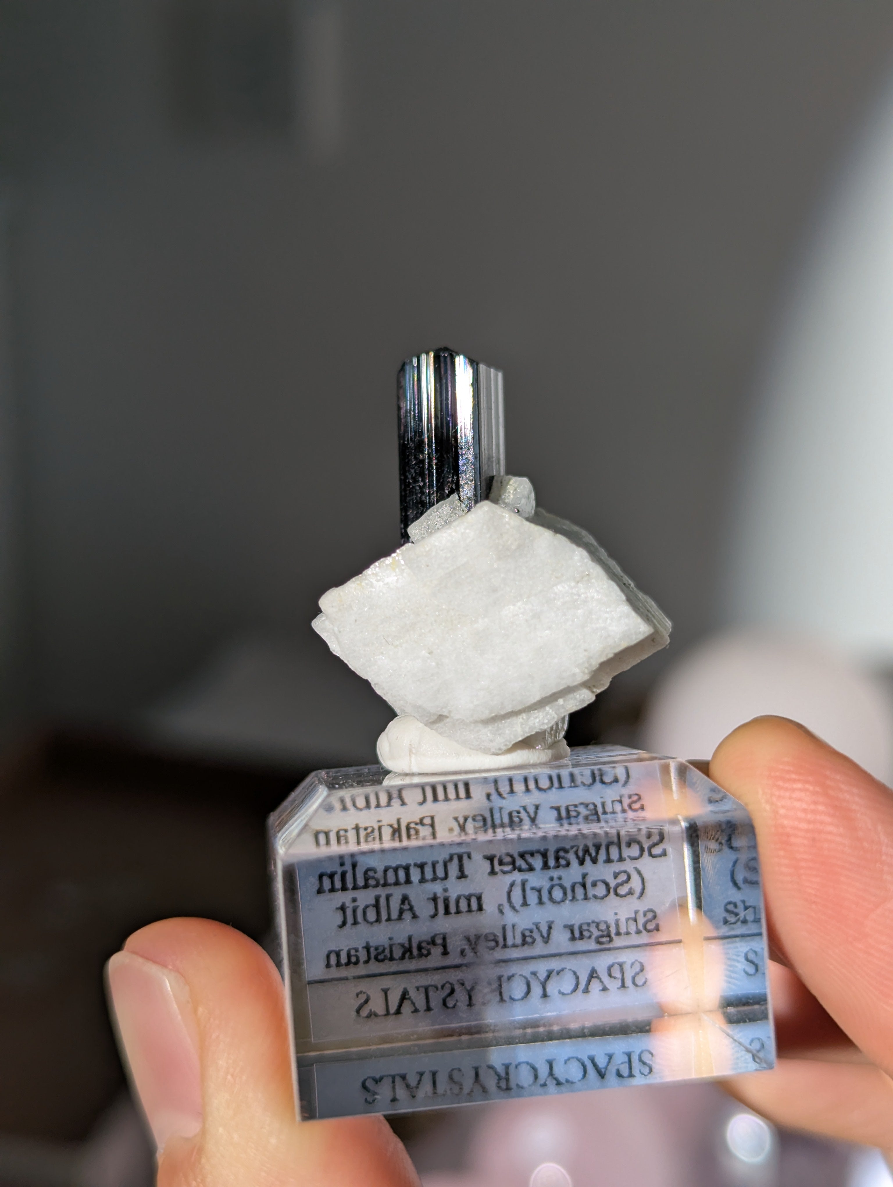 Schwarzer Turmalin (Schörl) mit Albit auf Podest