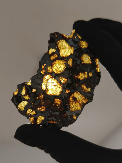 Imilac Pallasit Meteorit Scheibe 20.04g mit Zertifikat