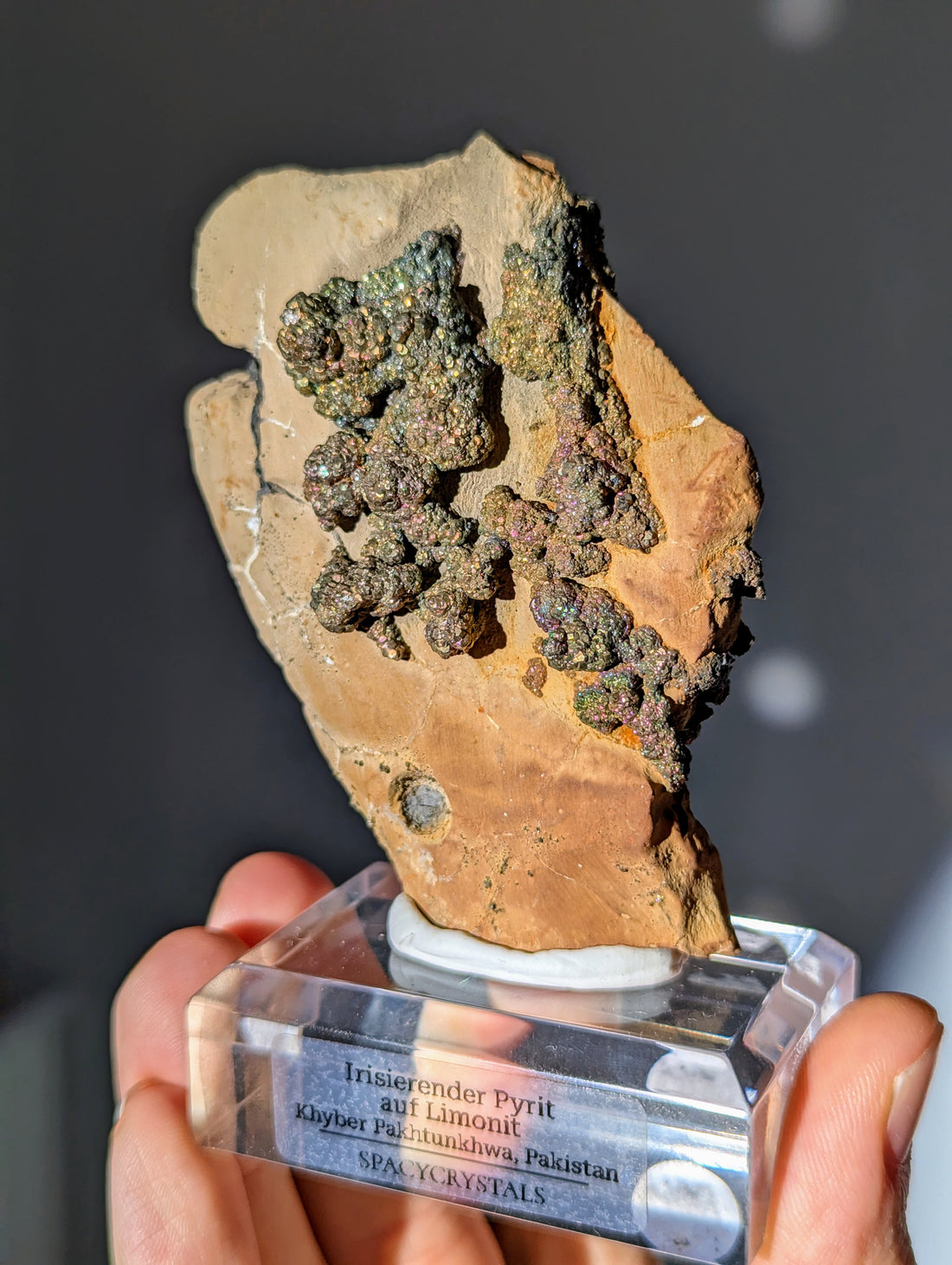 Irisierender Pyrit auf Limonit Wand