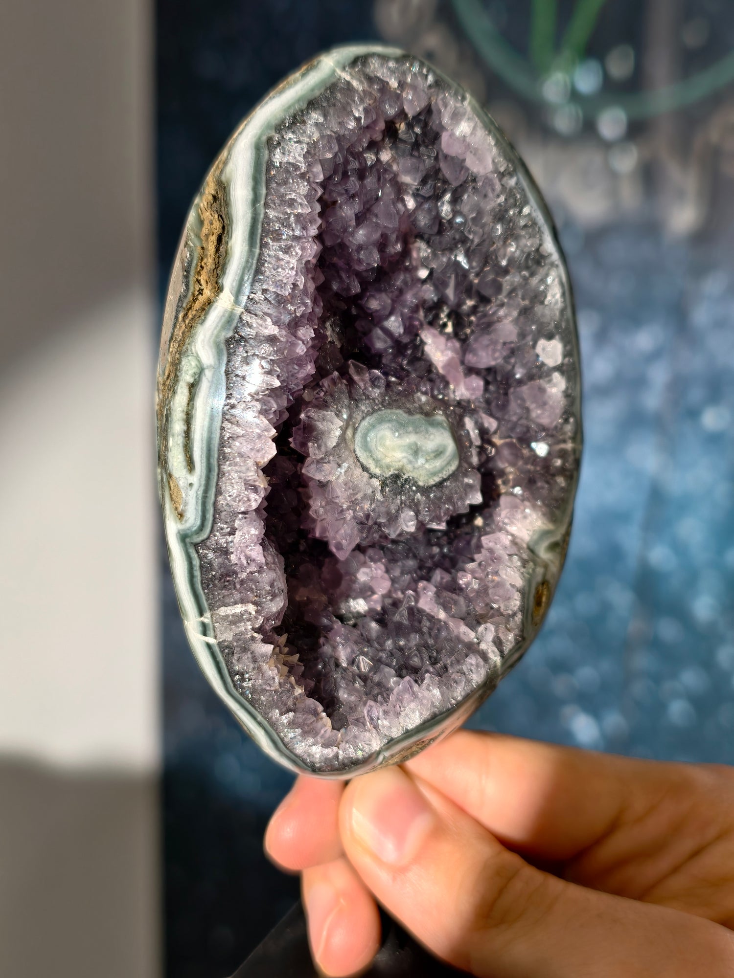 Wunderschöne Amethyst Geode auf Ständer