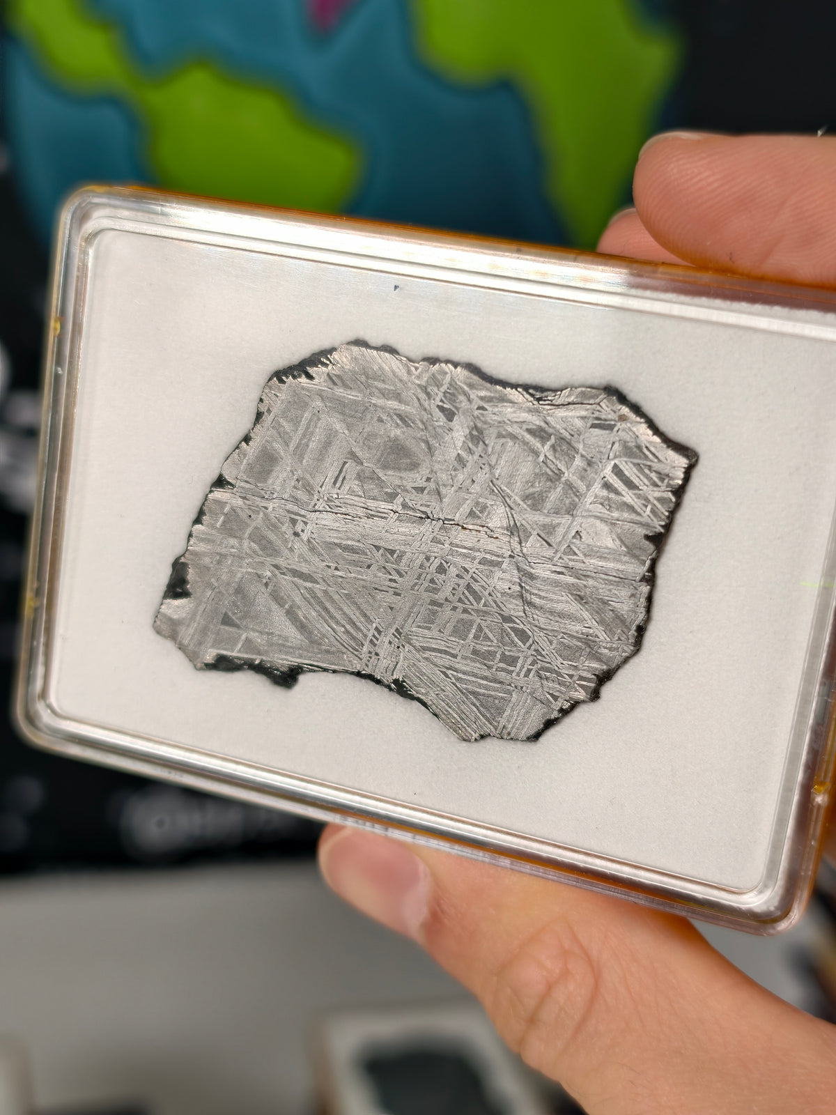 Muonionalusta Meteorit Scheibe 16,84g mit Zertifikat