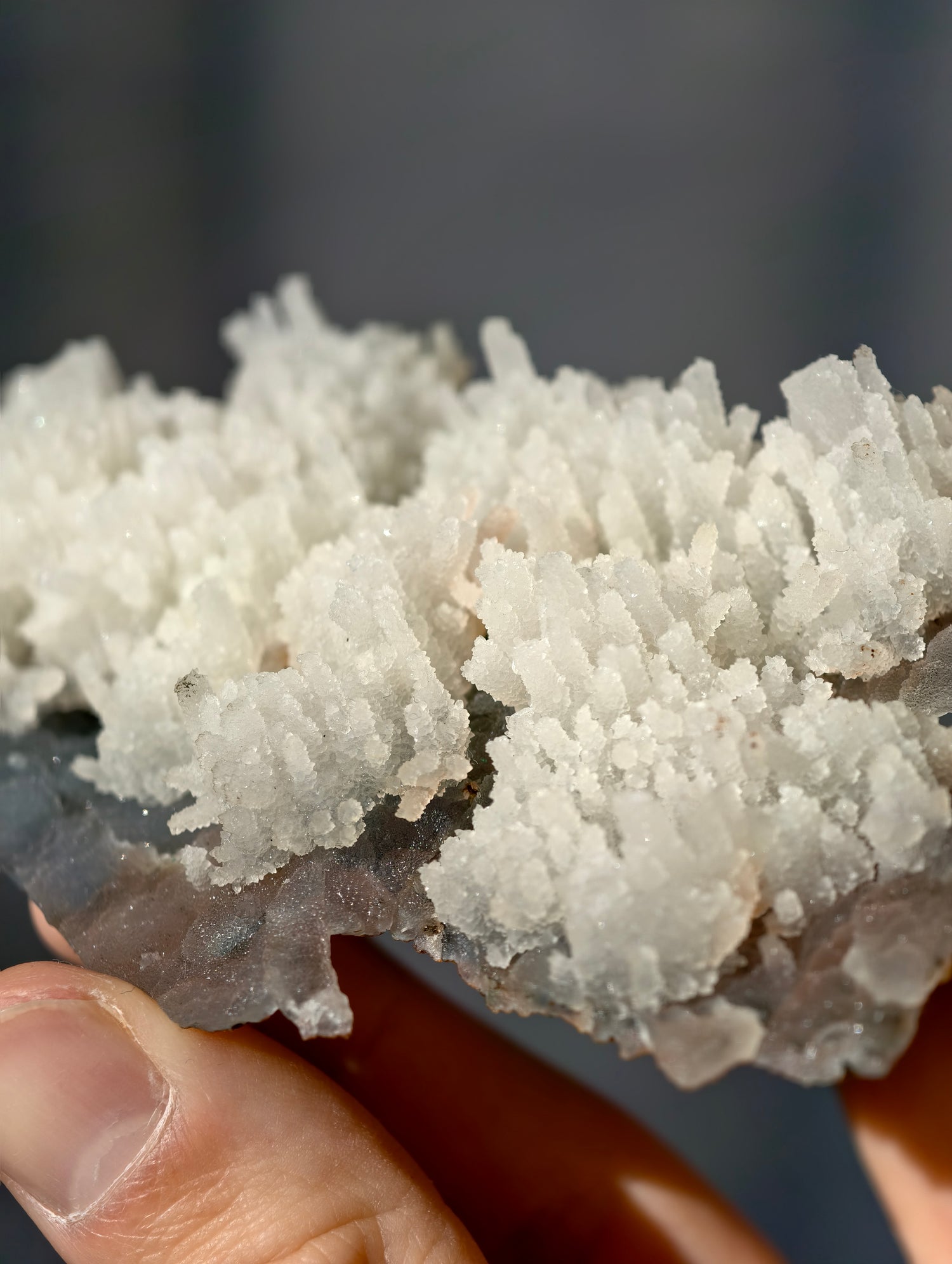 Chalcedon Stalaktiten auf dunklem Chalcedon (2. Generation) Neu!