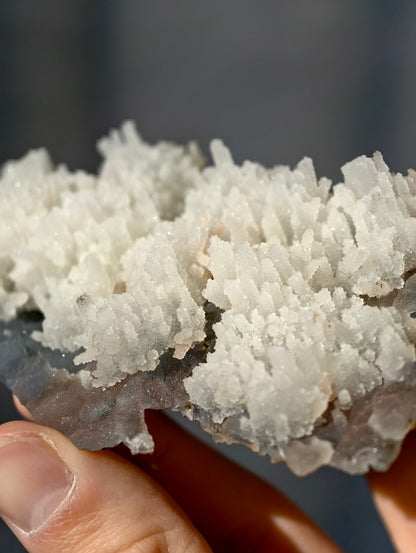 Chalcedon Stalaktiten auf dunklem Chalcedon (2. Generation) Neu!
