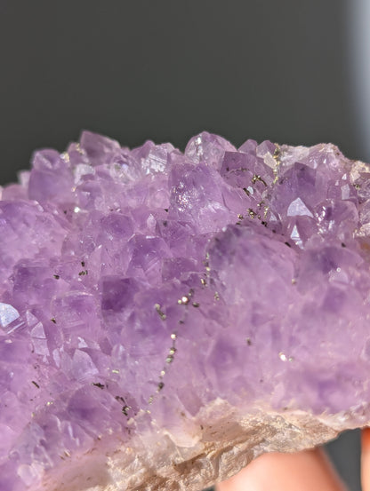 Pyrit auf Amethyst aus Bulgarien ✨